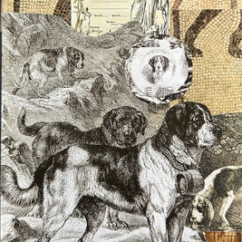 Dog Collage #2