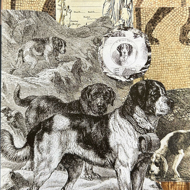 Dog Collage #2