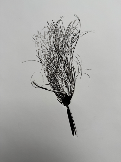 Untitled_22_LR