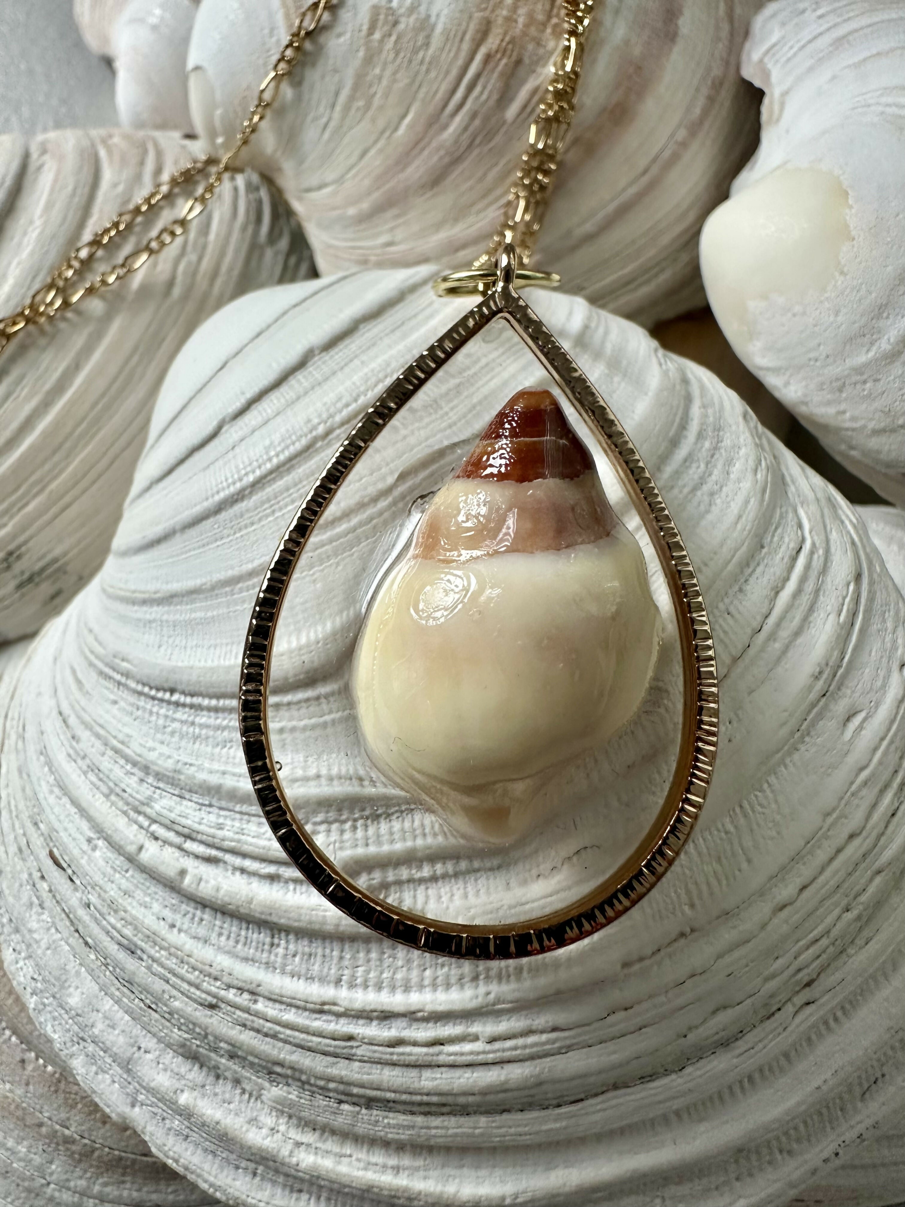 Seashell Pendant