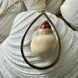 Seashell Pendant
