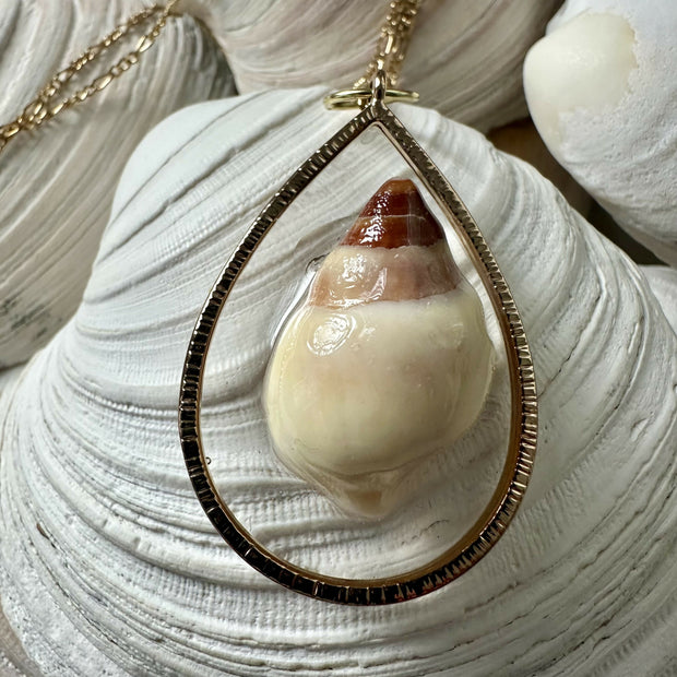 Seashell Pendant