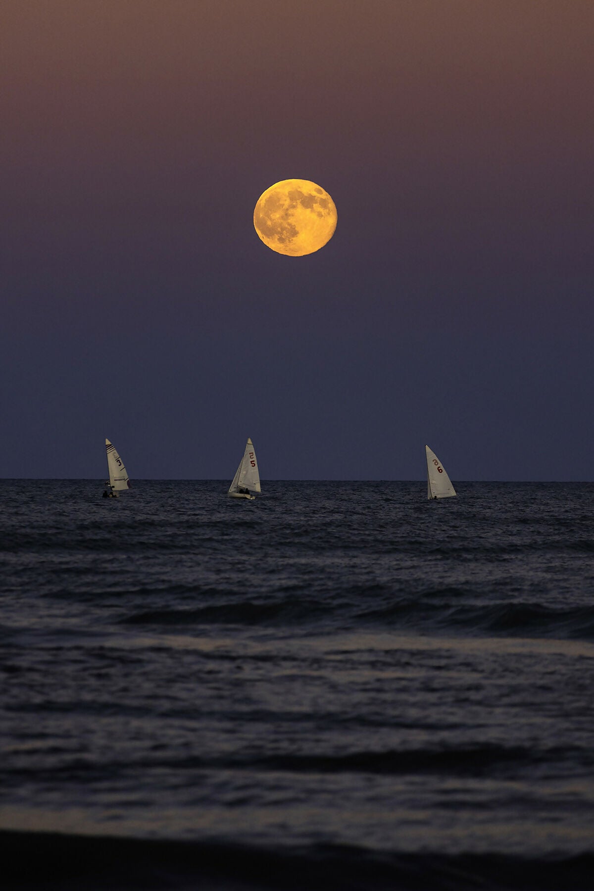 Moon Chasers