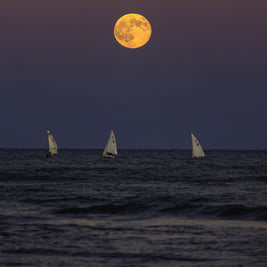 Moon Chasers