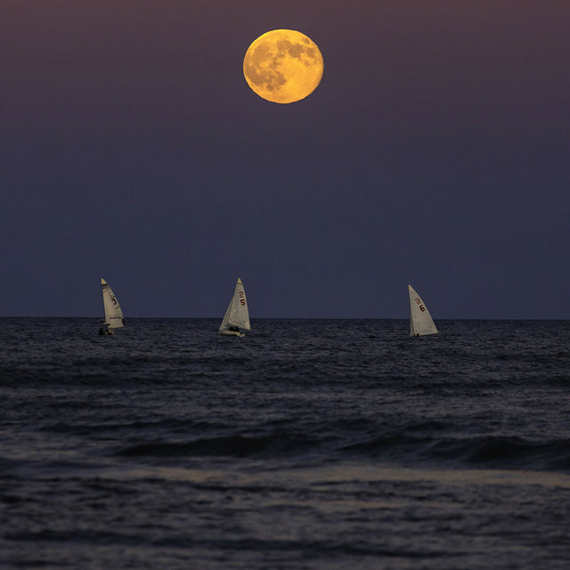Moon Chasers