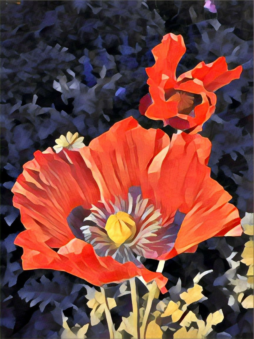 Red Flower
