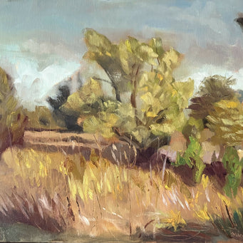 Savanna Afternoon