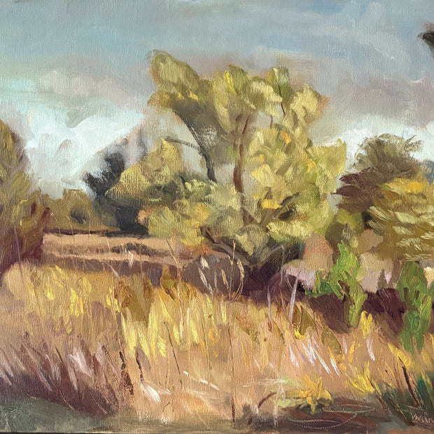 Savanna Afternoon