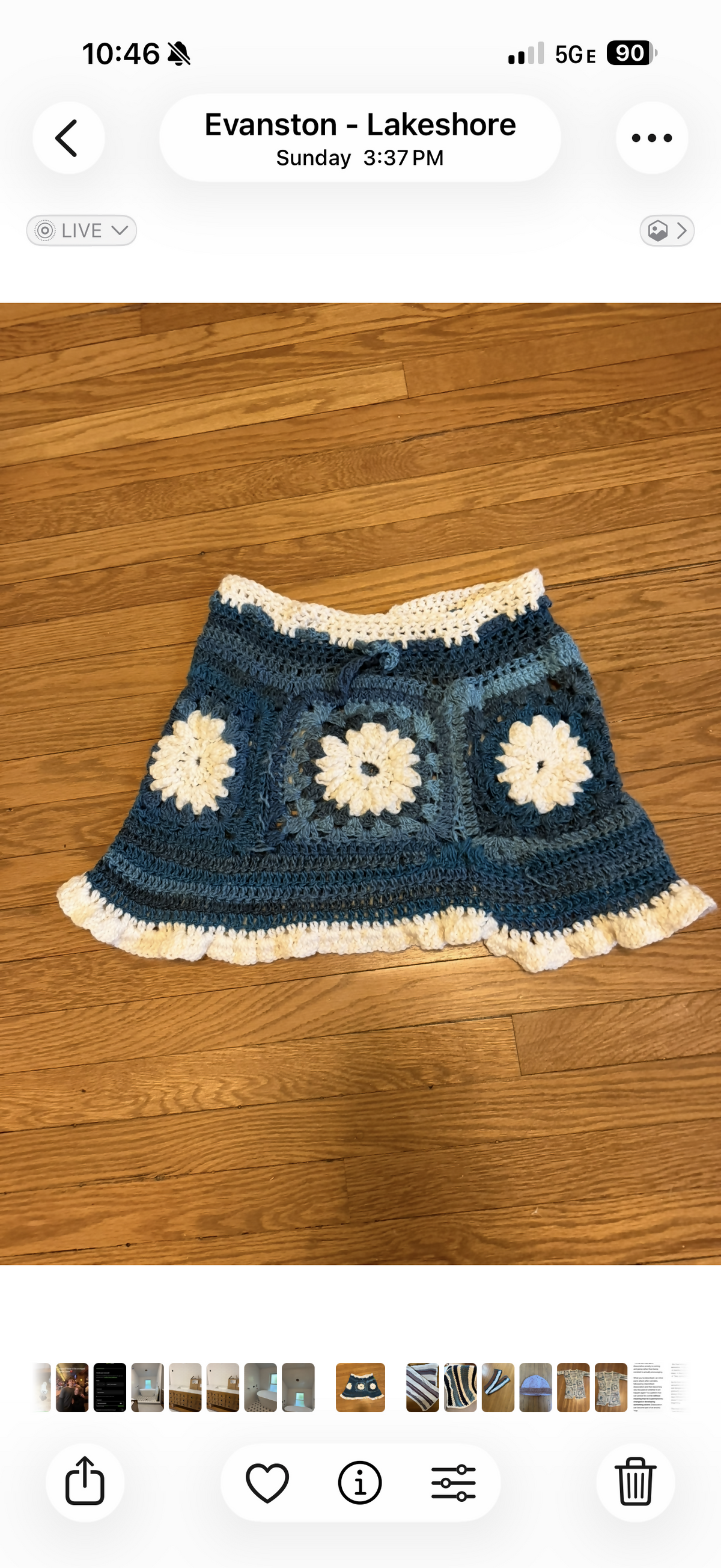 Blue daisy skirt