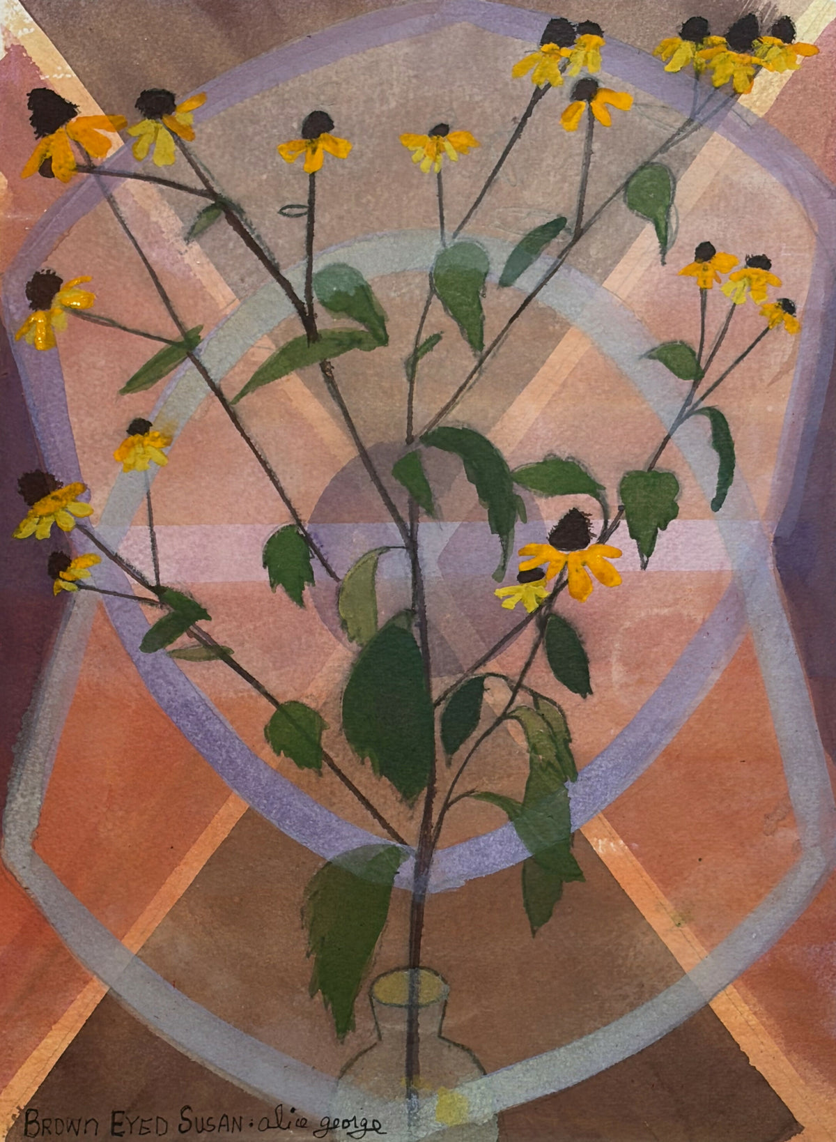 Brown-eyed Susan