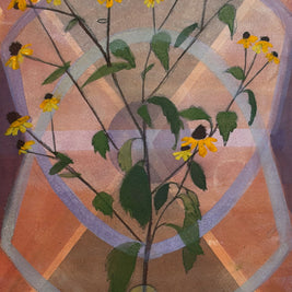Brown-eyed Susan