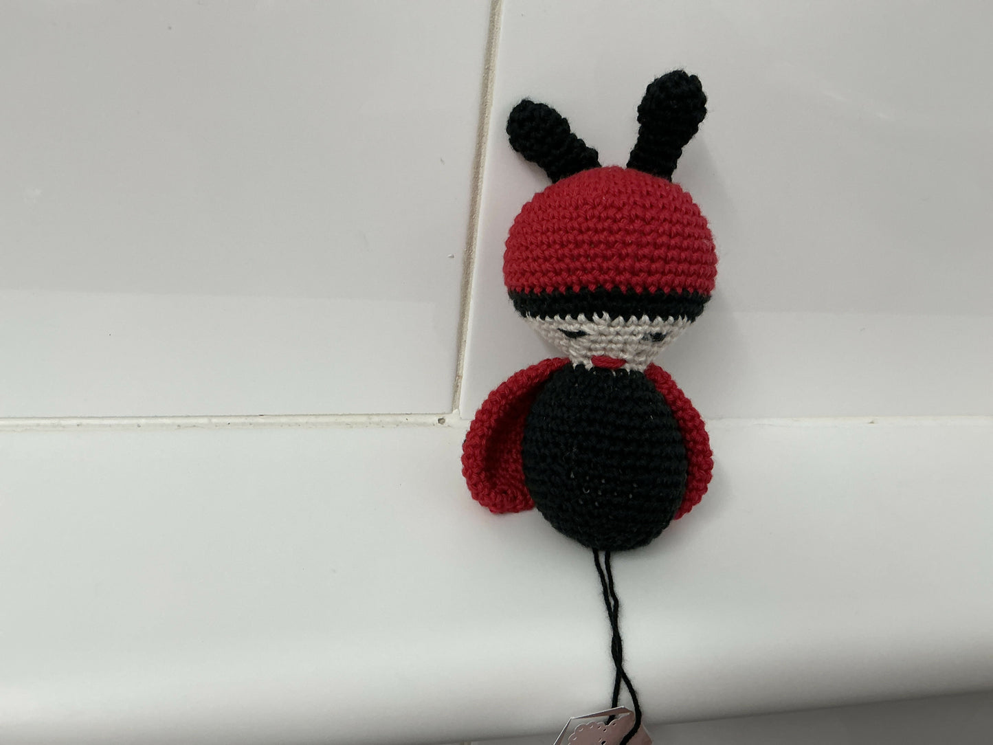 Lady bug