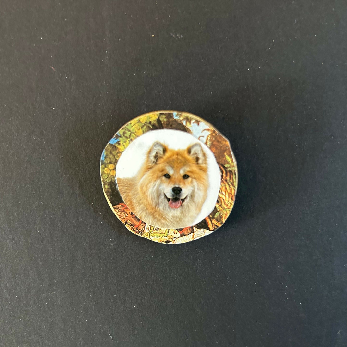 A Smiling Dog