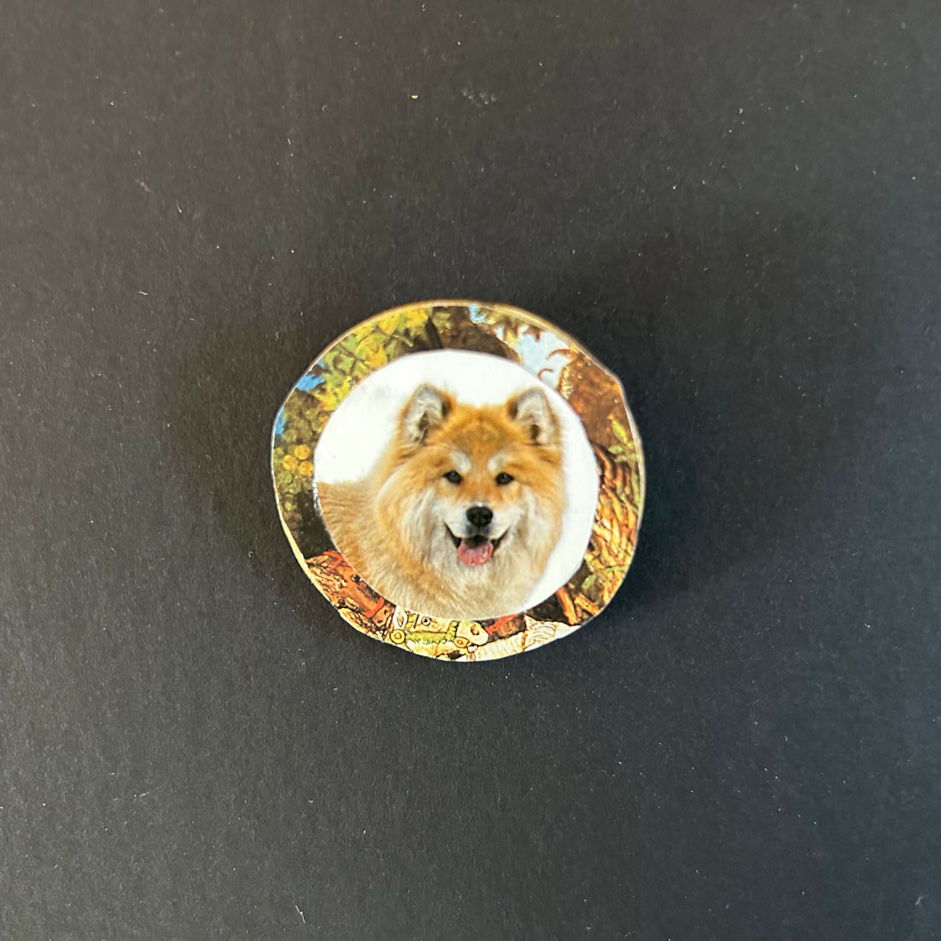 A Smiling Dog