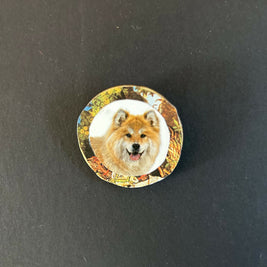 A Smiling Dog