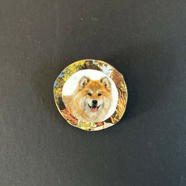 A Smiling Dog