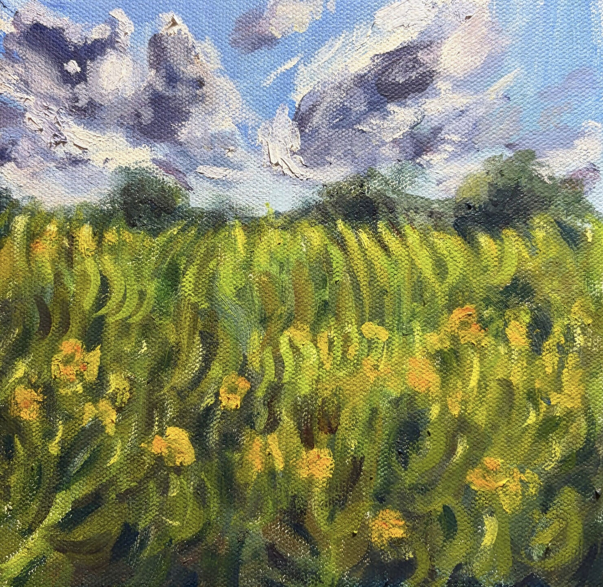 Walk in the Park