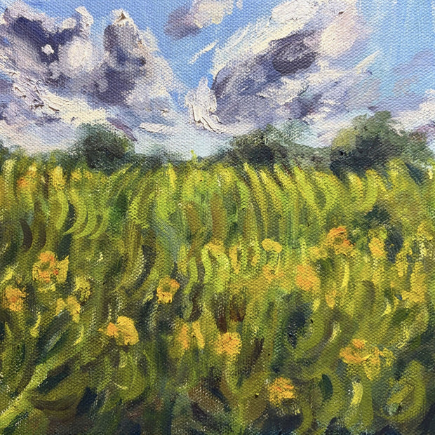Walk in the Park