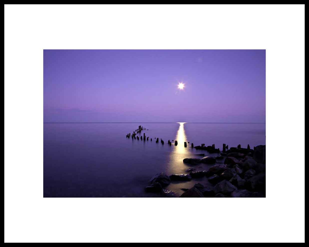 Moonrise in Winter