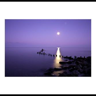 Moonrise in Winter