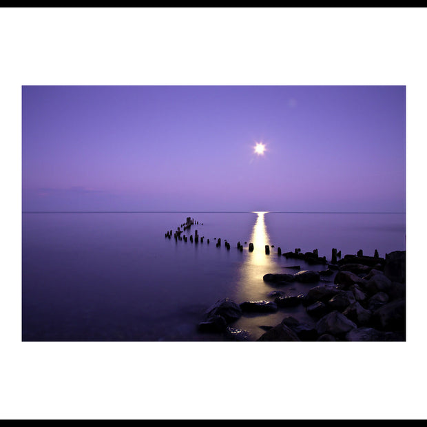 Moonrise in Winter