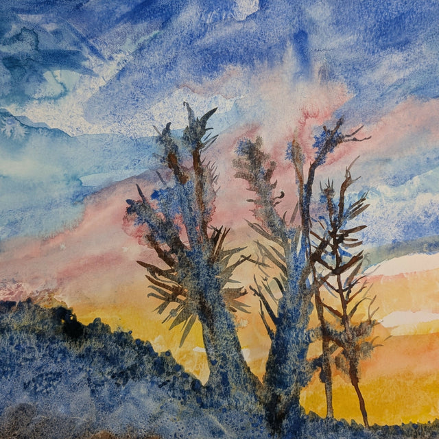 2025  11x15 watercolor on paper