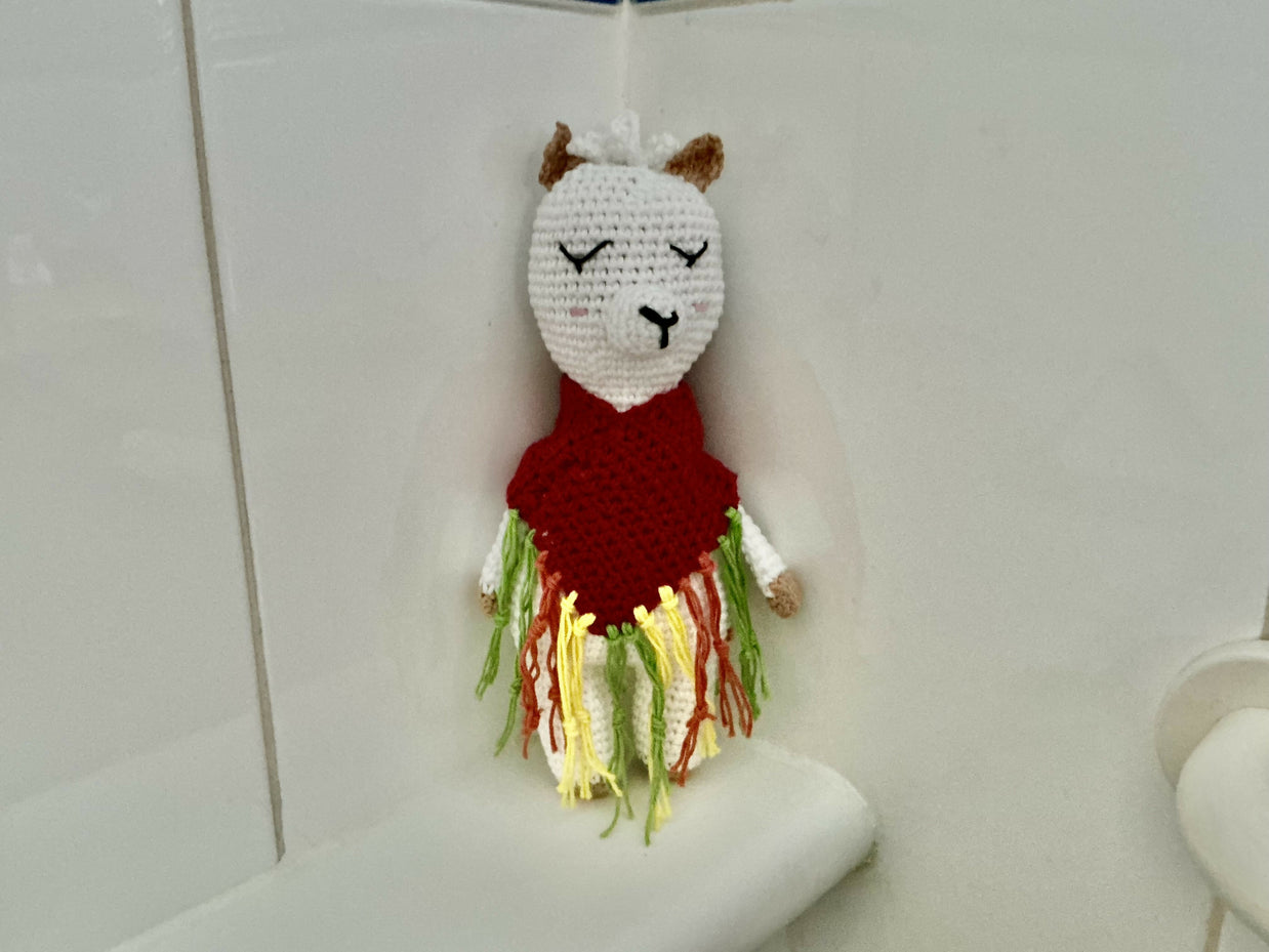 Llama with poncho