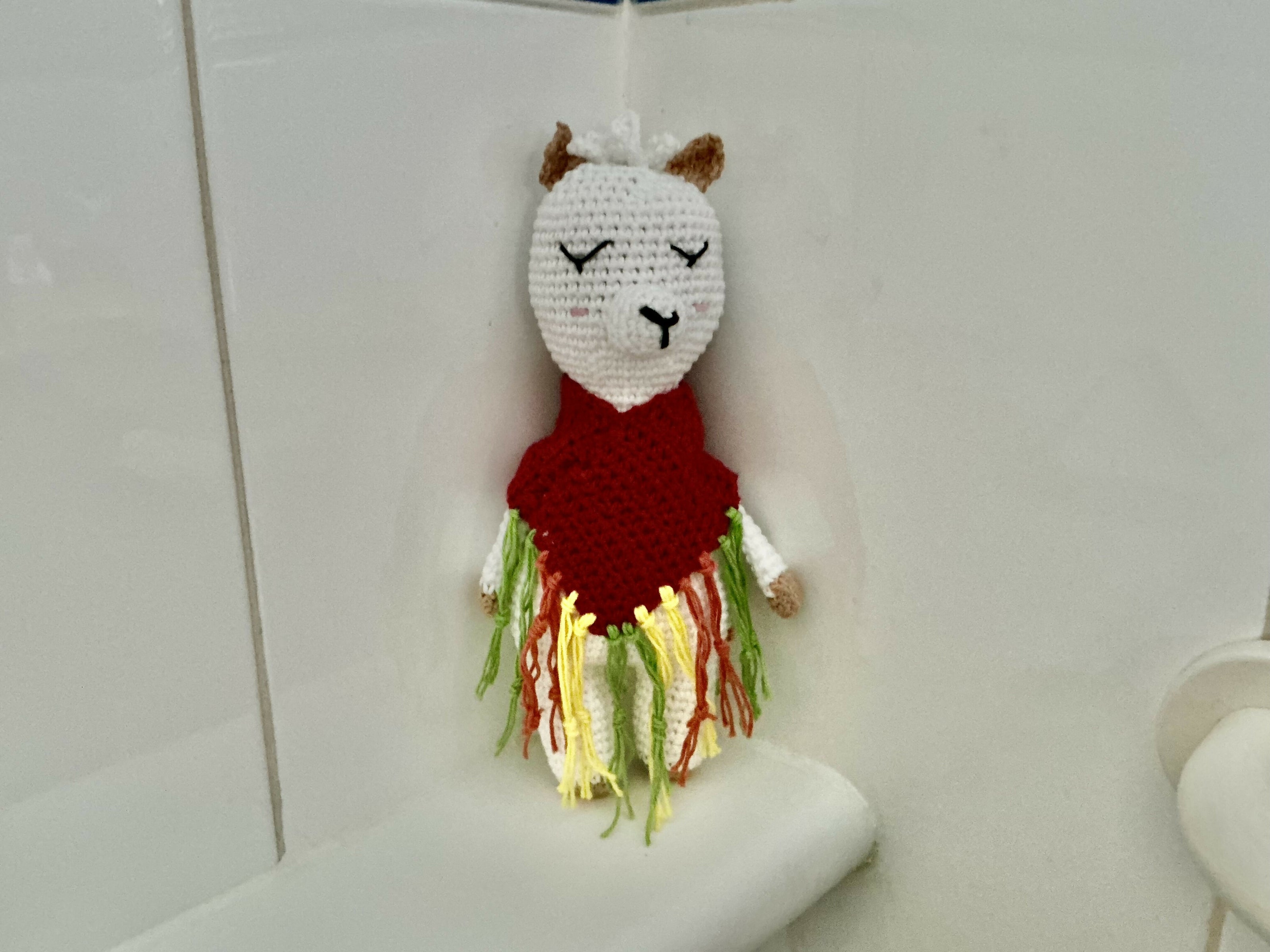 Llama with poncho