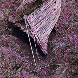 The Boar