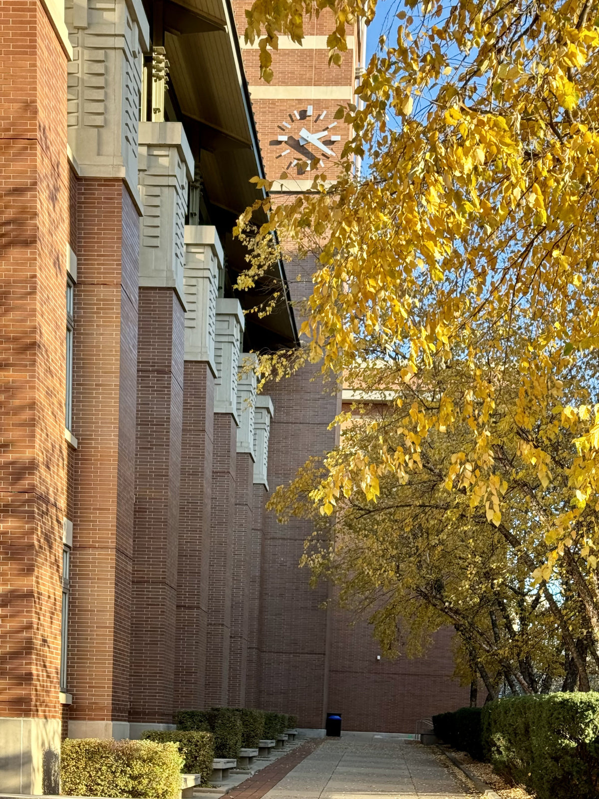 Evanston Public Library, November 11, 2023, 20”x30”