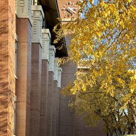 Evanston Public Library, November 11, 2023, 20”x30”