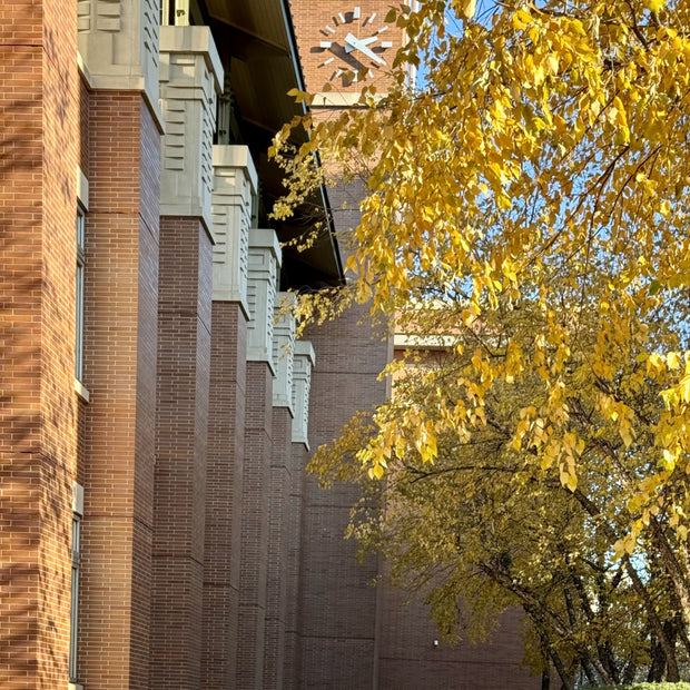 Evanston Public Library, November 11, 2023, 20”x30”