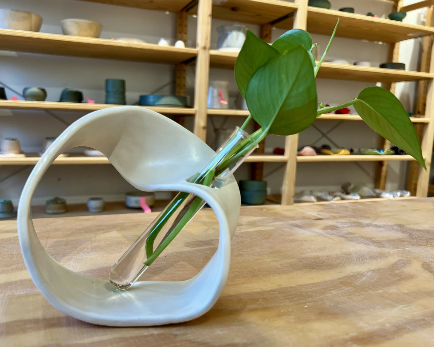 Ceramic plant propagator