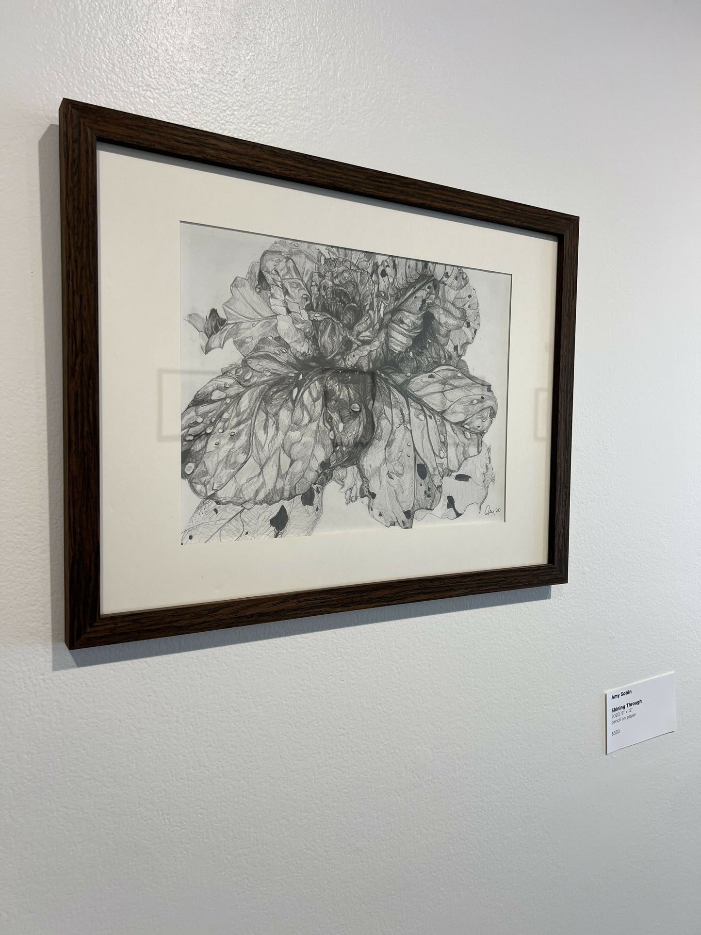 "Shining Through" framed original