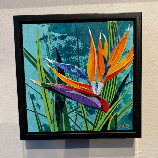 Bird of Paradise 2