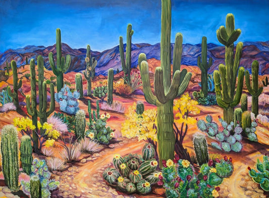 My Interpretation of Saguaro National Park