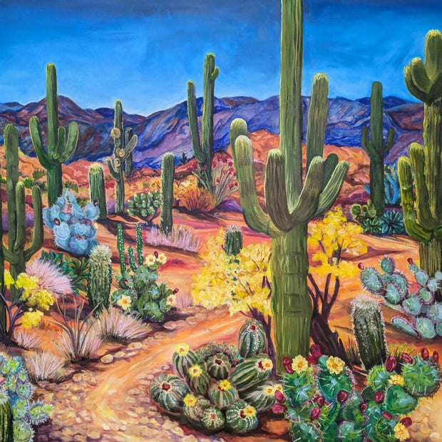 My Interpretation of Saguaro National Park