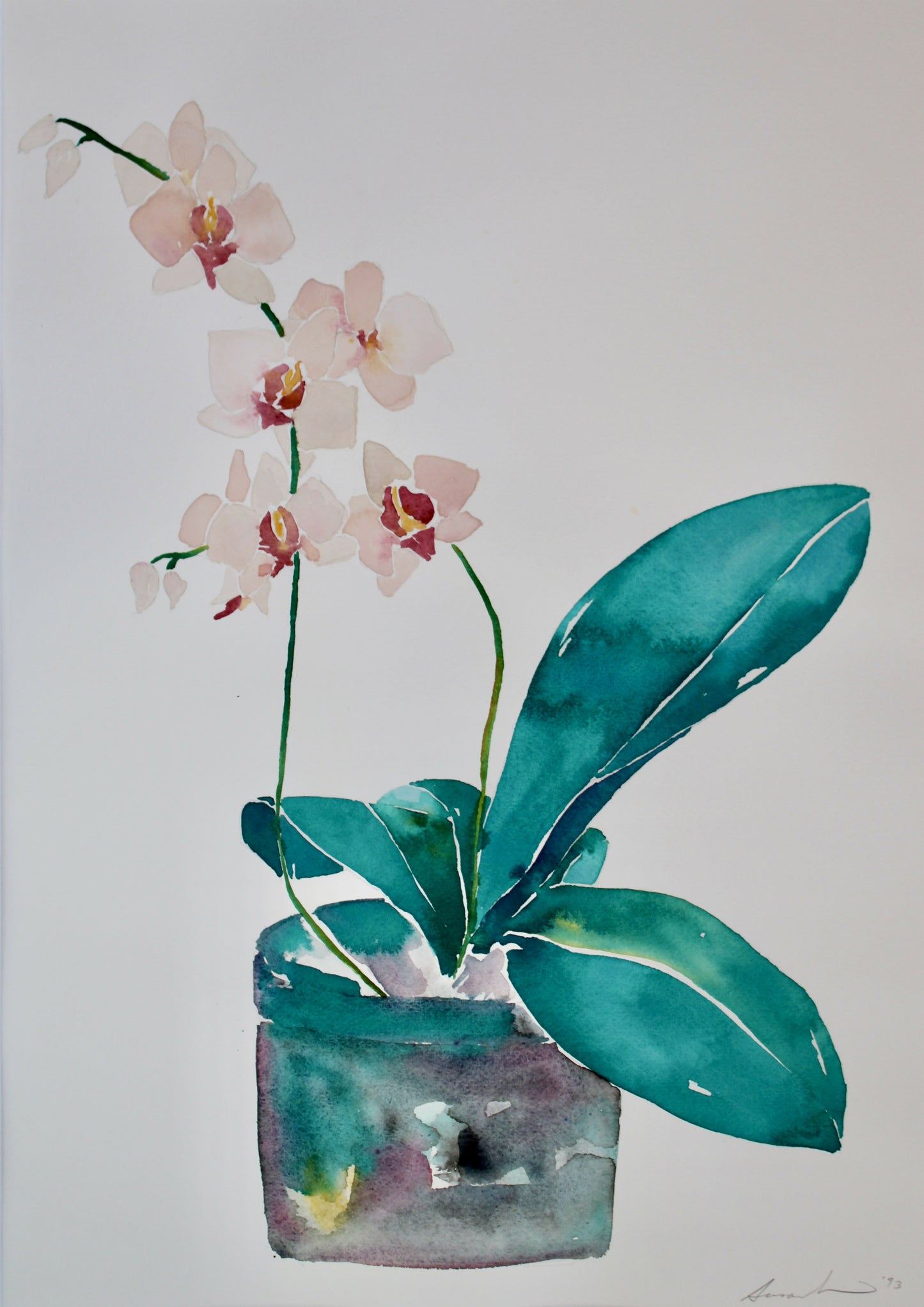 prints of original paintings