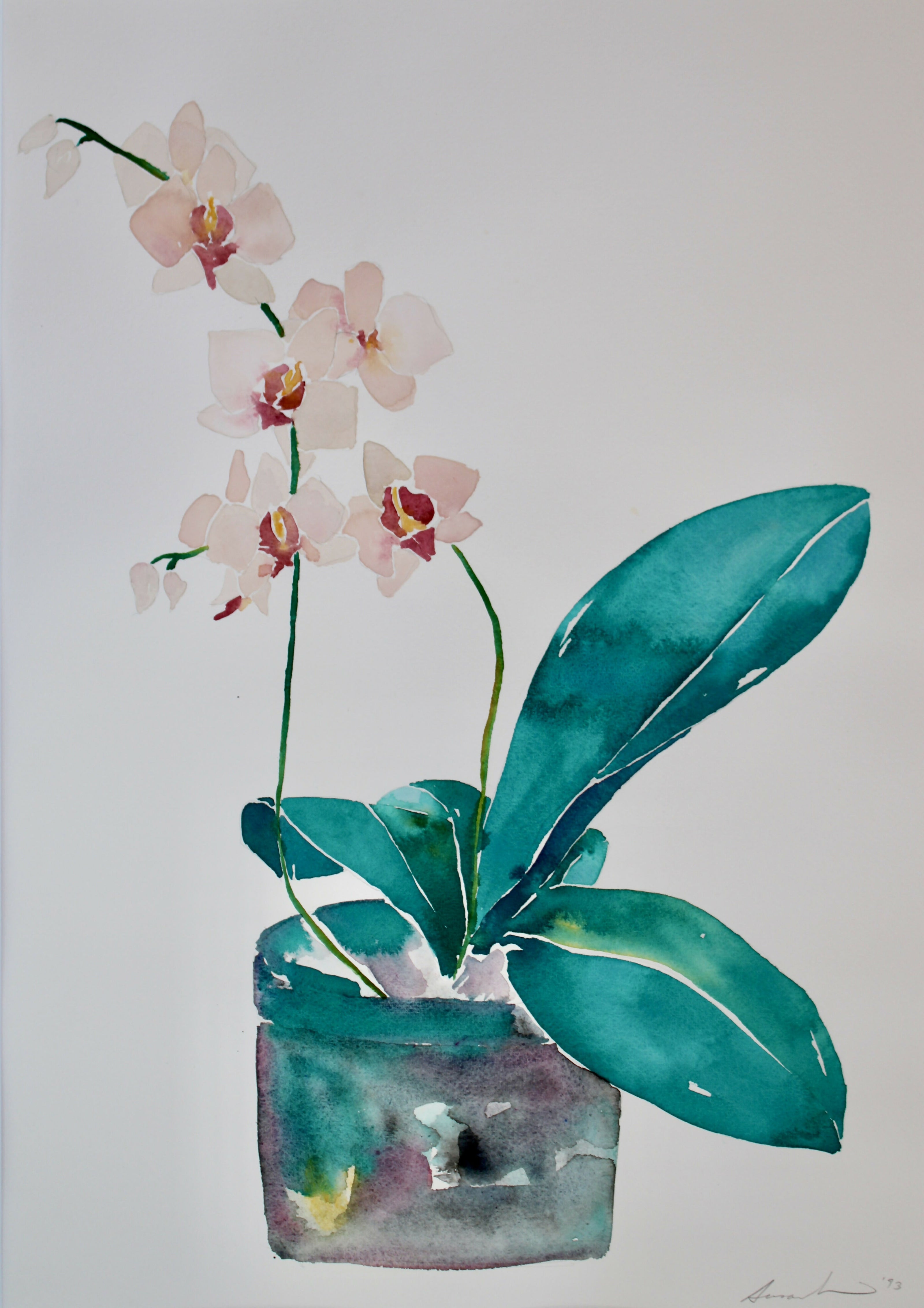prints of original paintings