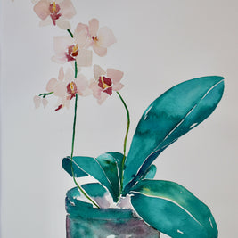 prints of original paintings