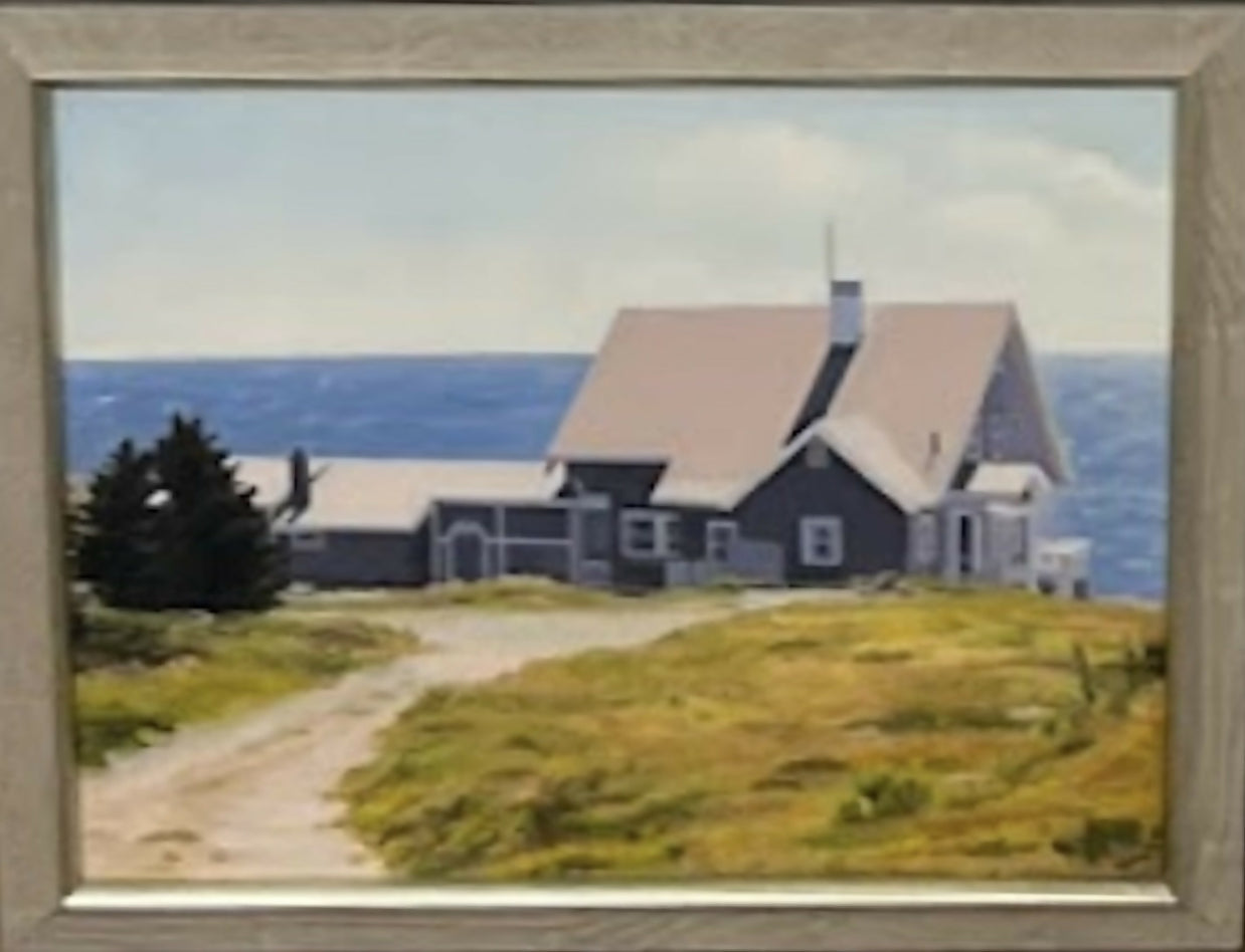 Overlook- St. Jean Beach