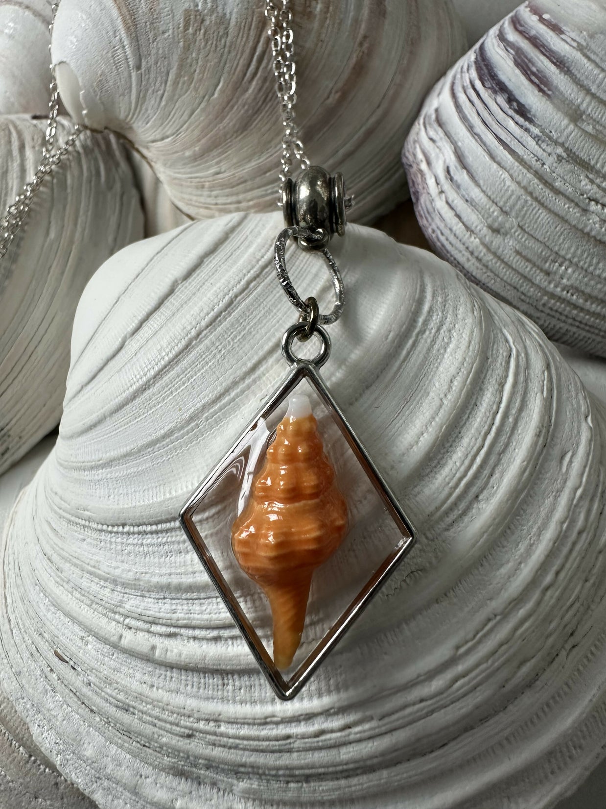 Baby Horse Conch Shell Pendant Necklace