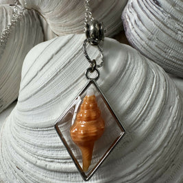 Baby Horse Conch Shell Pendant Necklace