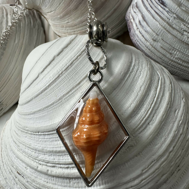 Baby Horse Conch Shell Pendant Necklace