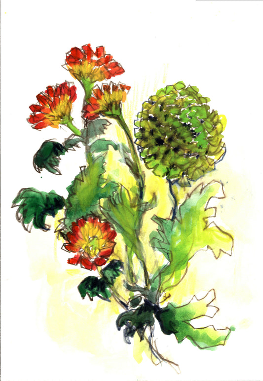 Wildflower Bouquet Mixed Media Drawing, 7 x 10 unframed