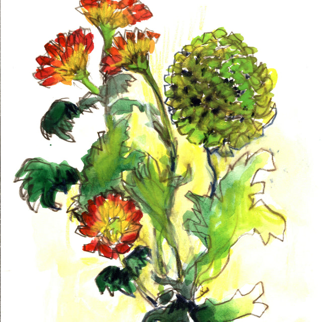 Wildflower Bouquet Mixed Media Drawing, 7 x 10 unframed