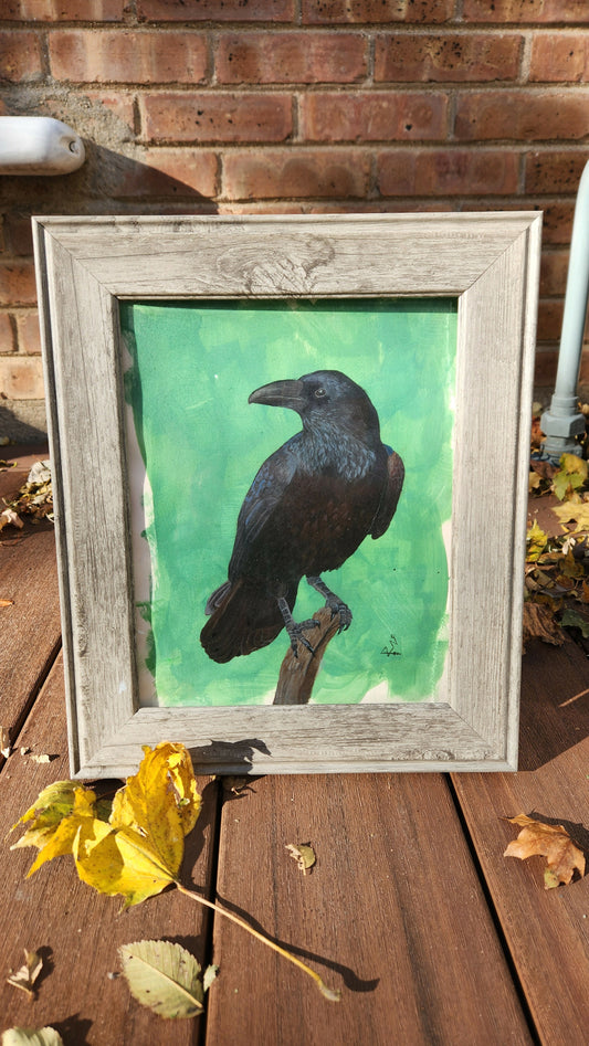 Raven in frame