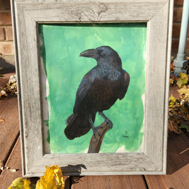 Raven in frame