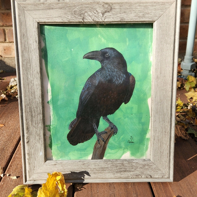 Raven in frame