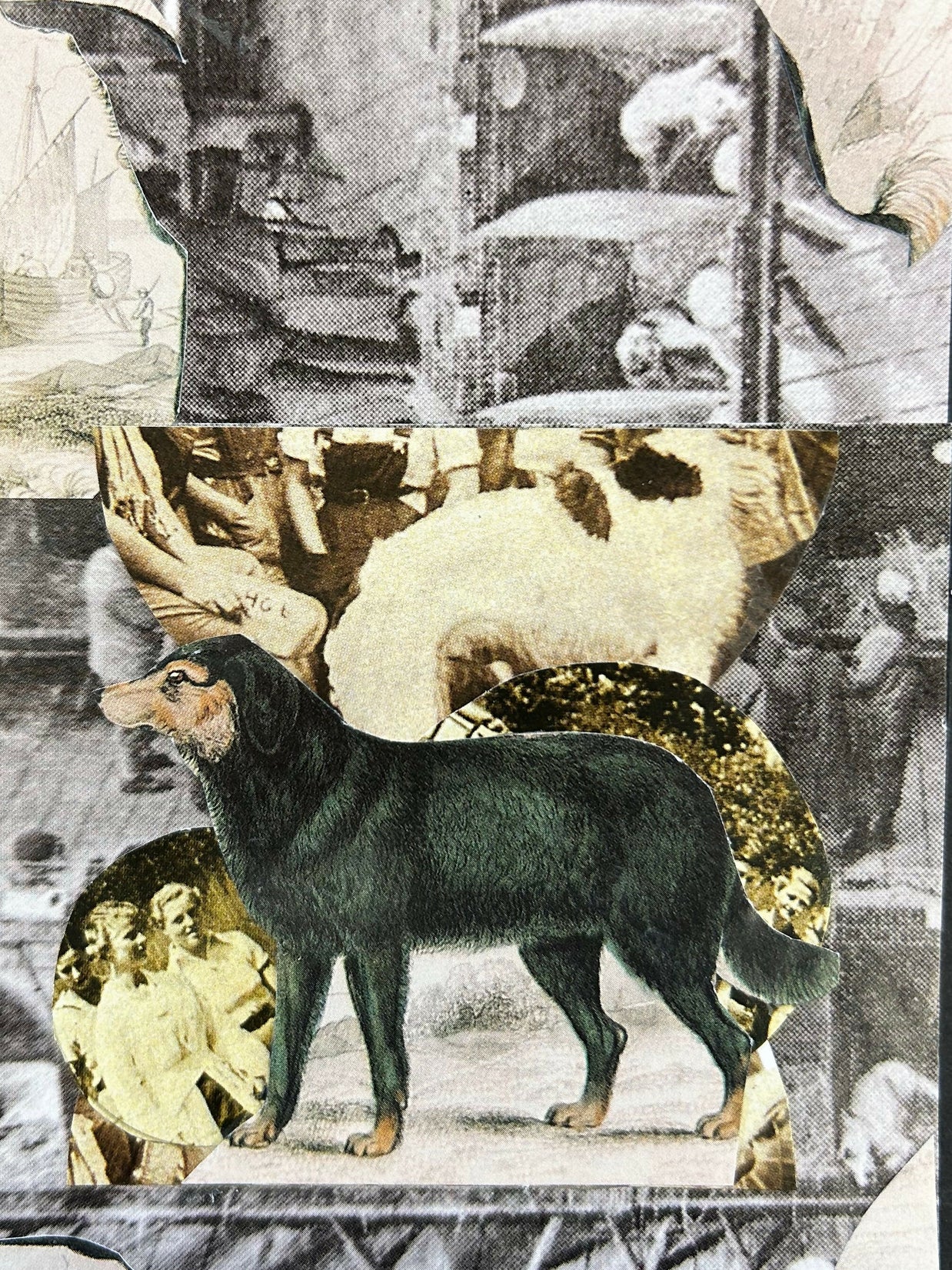 Dog Collage #3